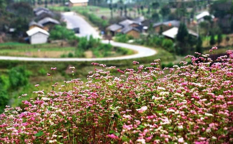 Nha Nghi T&T Hotel ส่งวัน ภายนอก รูปภาพ
